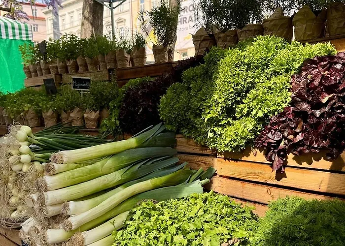 Andel Quiet Comfy アパート *